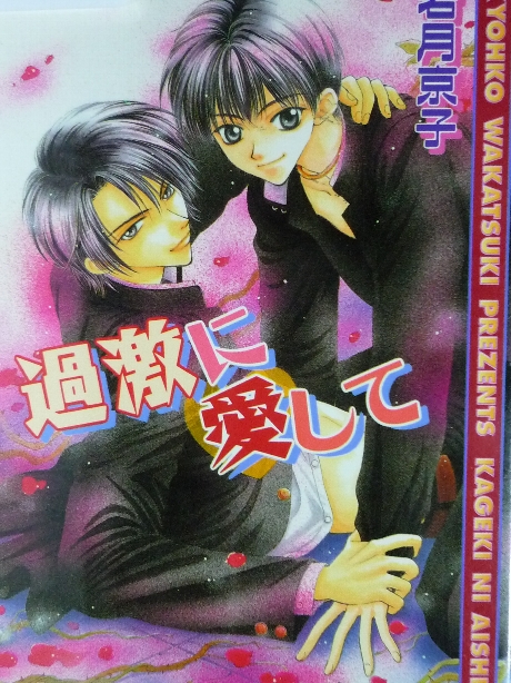 過激に愛して　若月京子(著)